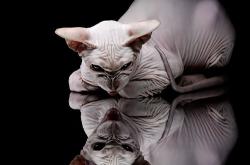 开云体育平台APP-拉亚梅开二度引爆全场，乌拉圭5-0狂胜阿尔及利亚显冠军相