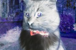 开云体育-北欧风暴席卷非洲雄狮，全面压制下迪亚斯一剑封喉