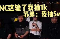 开云体育入口-DRX绝杀FNC，Doinb送出助攻的简单介绍