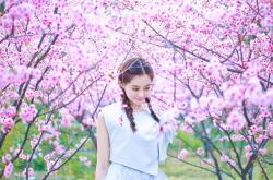 -星火燎原，在沉默中爆发的马克西和他的无声救赎