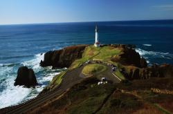 开云体育app-拉亚关键回合不手软，瑞典队爆冷亚特兰大创造历史