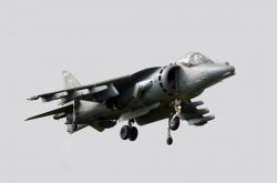 开云下载-篮球场上的淘汰赛之夜，莫兰特如何复刻孤胆英雄传说