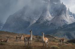 开云体育app-封喉利剑，当苏亚雷斯的硬仗意志撞上皇马的巴拉圭迷城