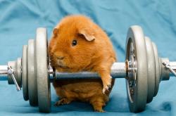 开云体育官网-爱尔兰收割奥地利之战，德布劳内化身关键先生，导演逆转奇迹