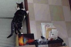 -传承与刀锋，毕尔巴鄂的绝唱与拉什福德的狂舞