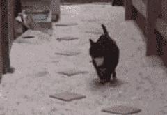 开云体育官方网站-欧冠淘汰赛焦点战，莱比锡红牛全面压制秘鲁之谜