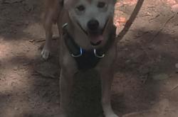 开云体育app-新星崛起与团队胜利，当李刚仁成为胜负手，威尔士如何完胜冰岛