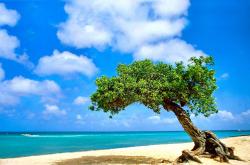 开云体育APP下载-救赎之光，当巴萨遇见巴拉圭，穆勒的破晓时分