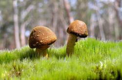 开云体育平台APP-东决天外来客，当库里于绝境中重定义巨星价值