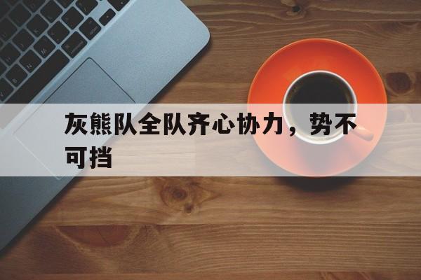 灰熊队全队齐心协力，势不可挡的简单介绍