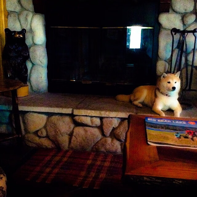 绿茵场上的双重奏，格列兹曼的星光与丹麦童话的韧性