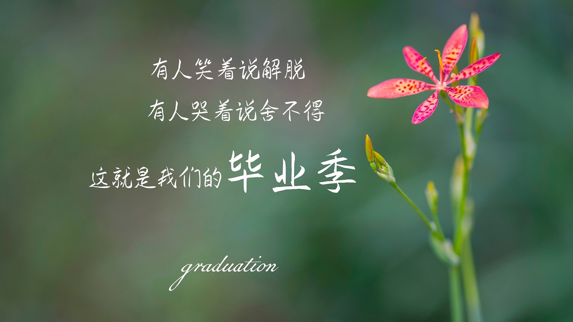 撕裂风城防线！爱德华兹在湖牛战中展现巨星本色