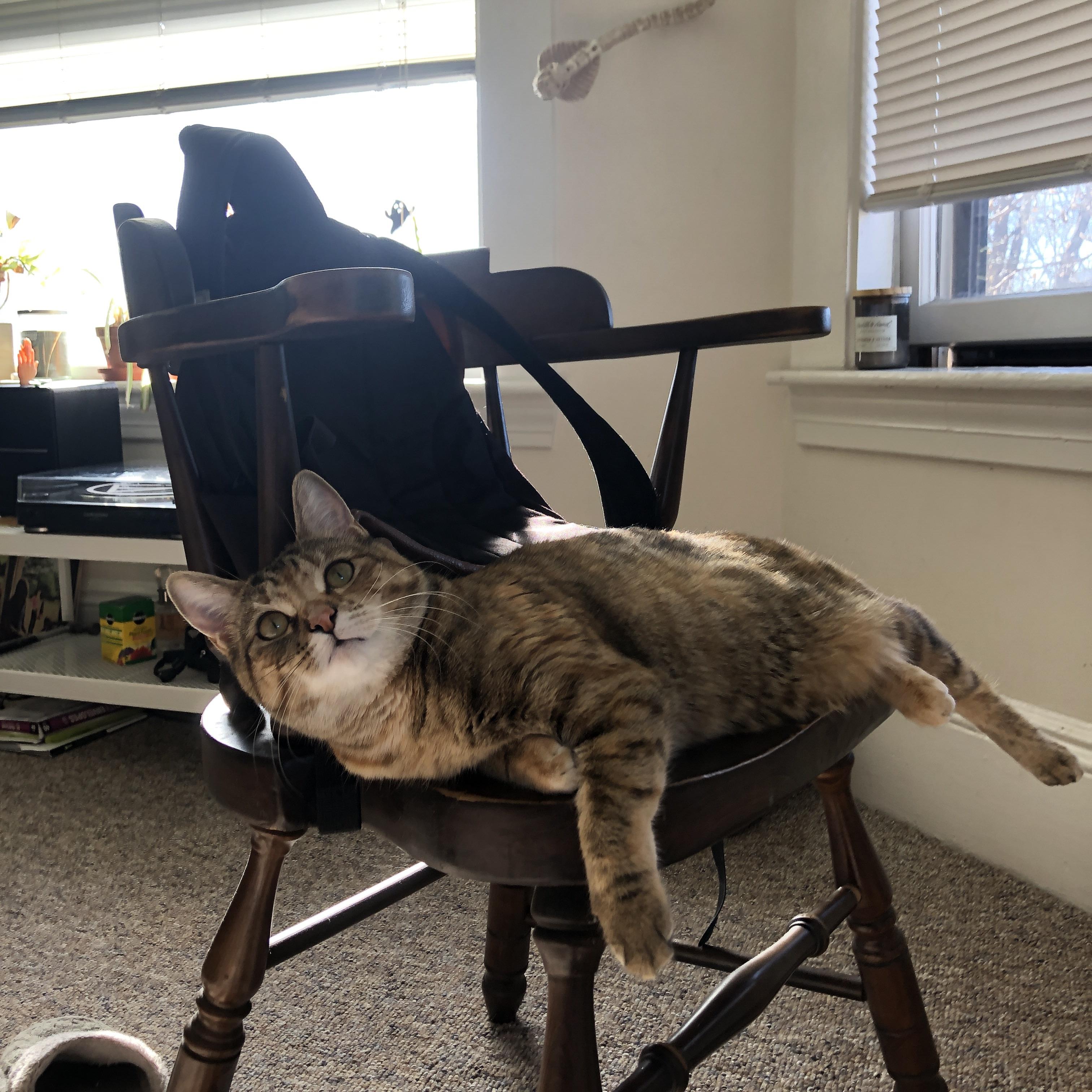 韩国打穿雷恩防线，巴雷拉成为逆转关键先生