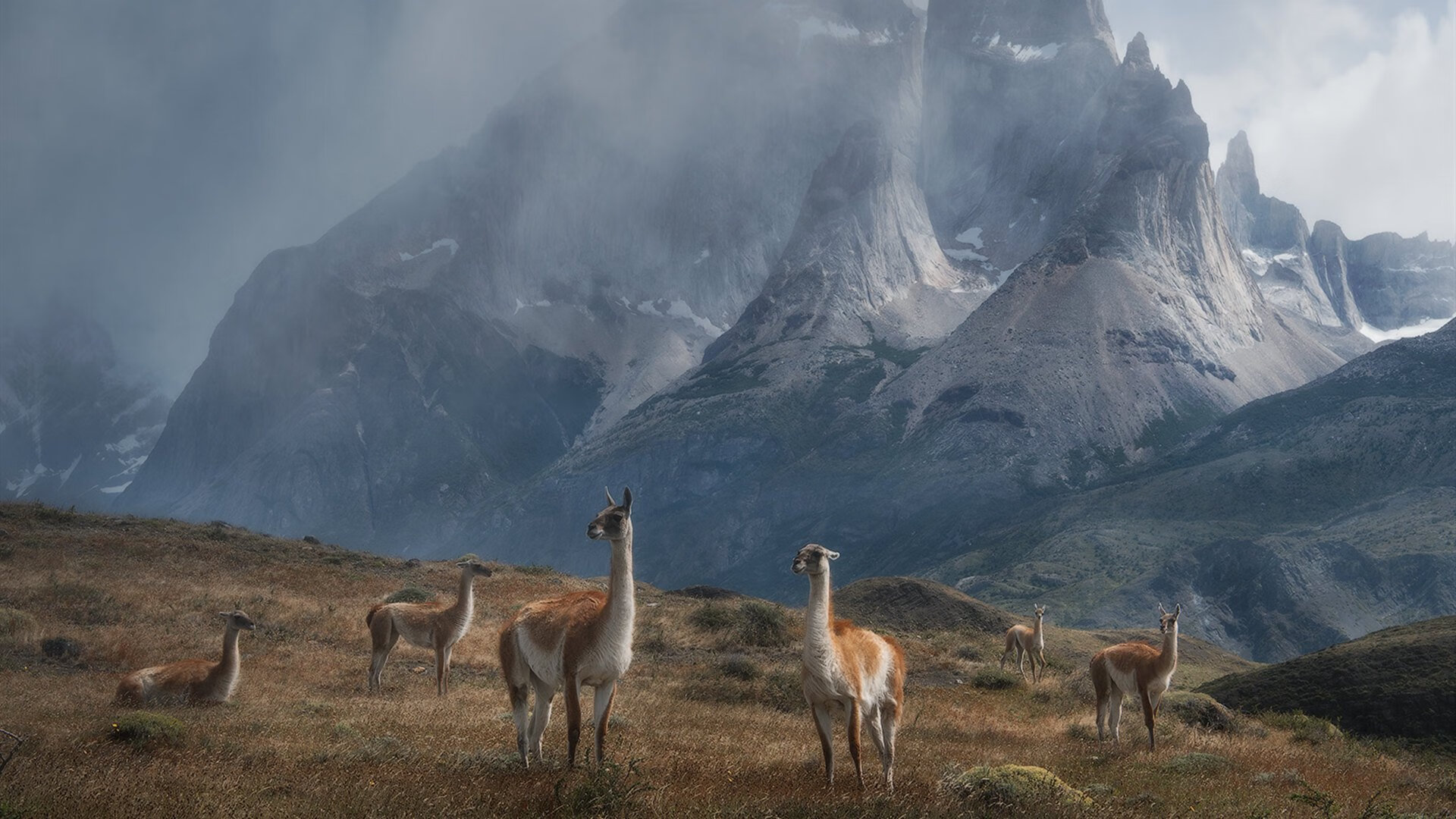 封喉利剑,当苏亚雷斯的硬仗意志撞上皇马的巴拉圭迷城