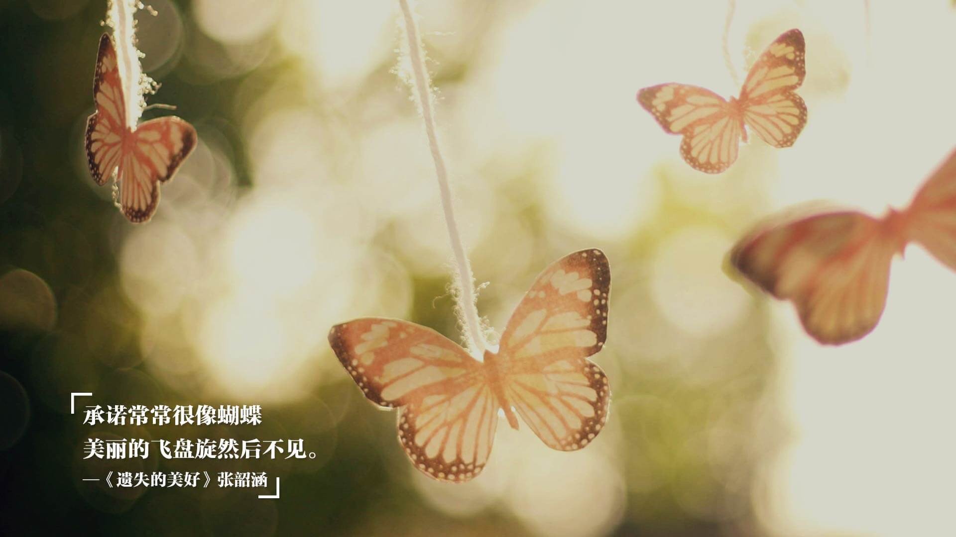 星火燎原，京多安的美加墨之夜