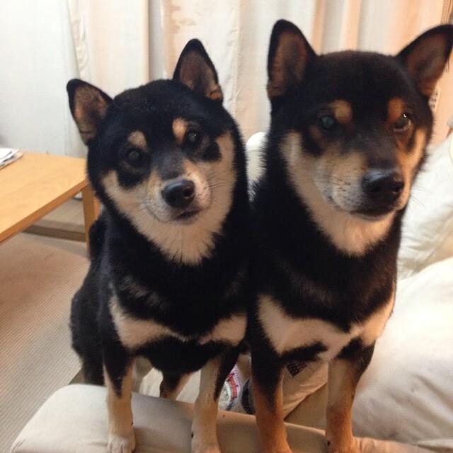 莫德里奇谢幕之舞，终场绝杀埃及，传奇为美洲大陆定格永恒