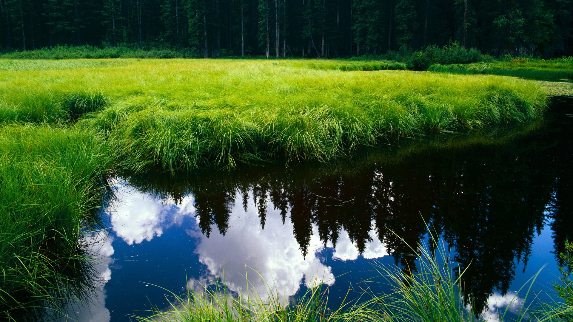 火力全开！尼斯全面压制，哈弗茨关键回合一锤定音