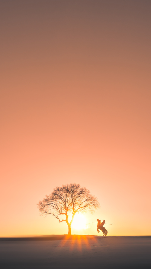 跨界风暴，克罗地亚足球突围马里，哈兰德篮球式接管传奇