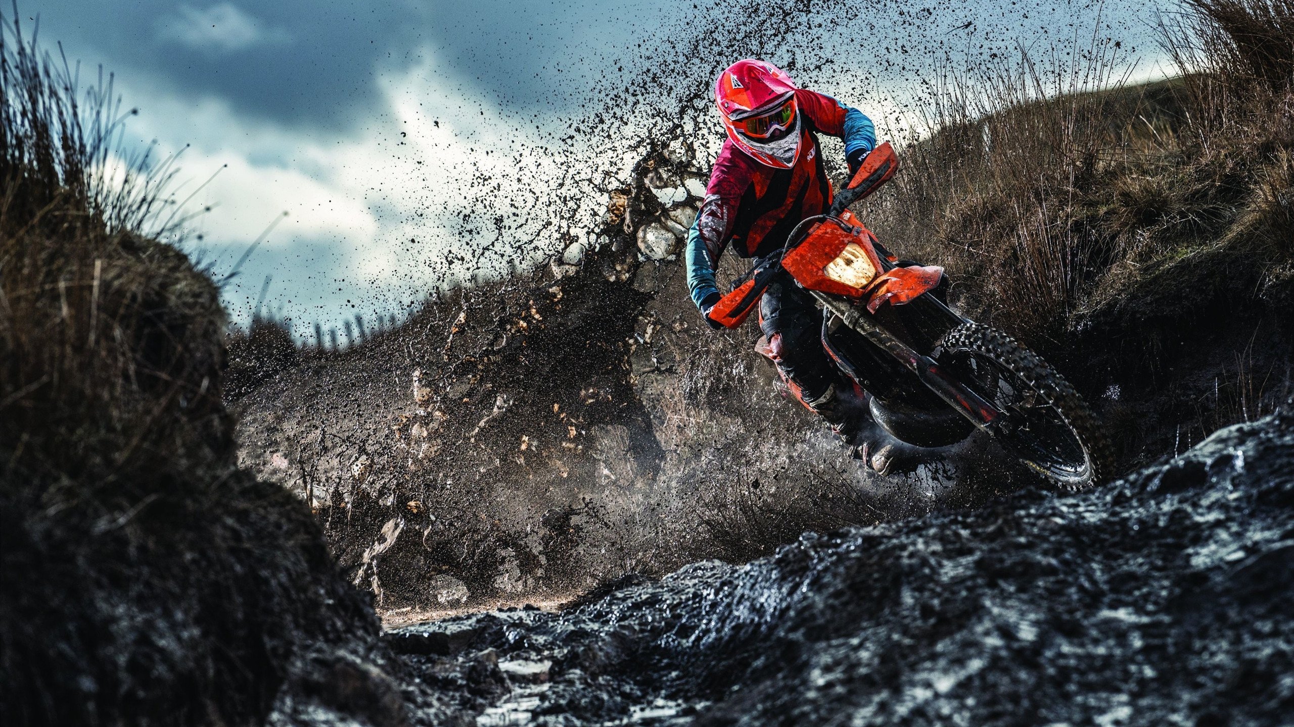 横跨大洋的压制哲学，浙江队的韧性与塔图姆的接管艺术