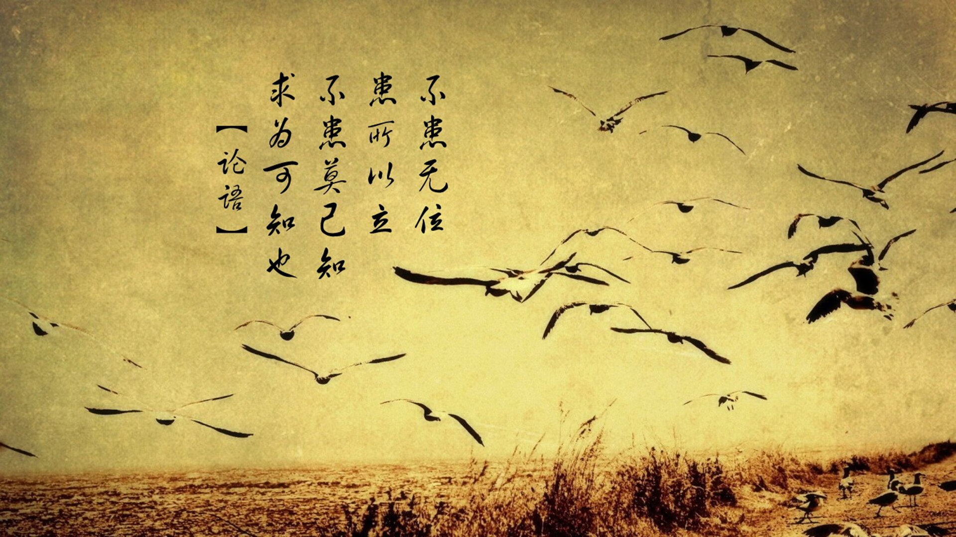 拉梅洛·鲍尔终场制胜!鹈鹕惊险逆转爵士,诞生新一代关键先生