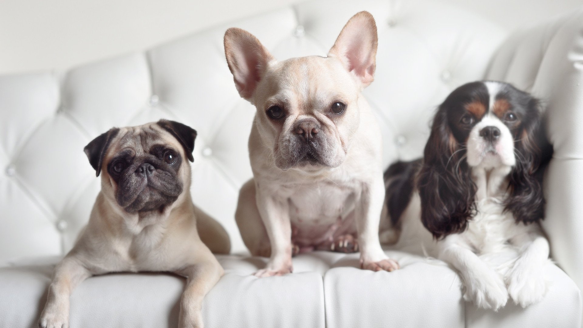 草根逆袭夜，拉文惊天表演撕碎雷霆防线