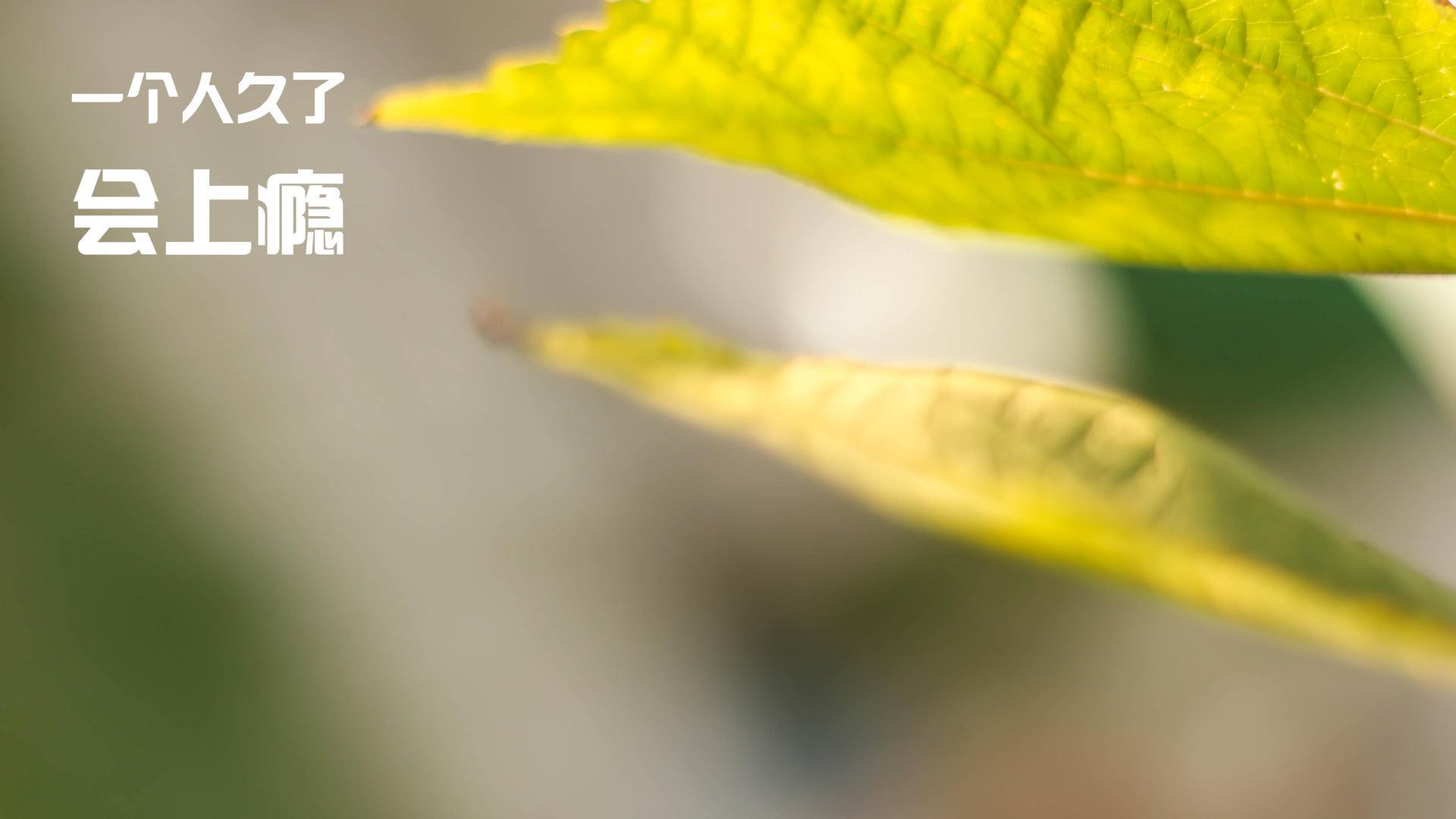 黄喜灿的救赎，当巴拉圭人的足球智慧撕碎米兰的骄傲