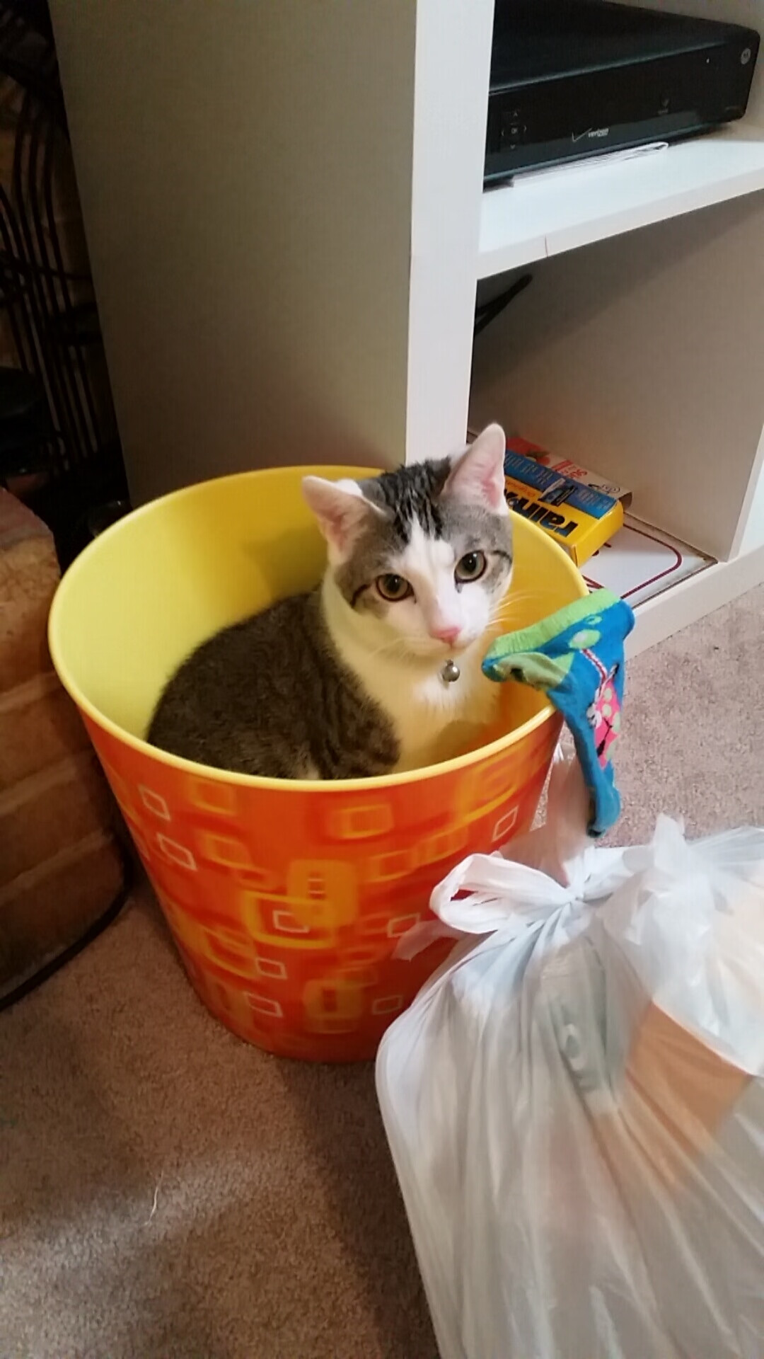 谁是公牛未来？扎克·拉文用一场震古烁今的43分给出答案！