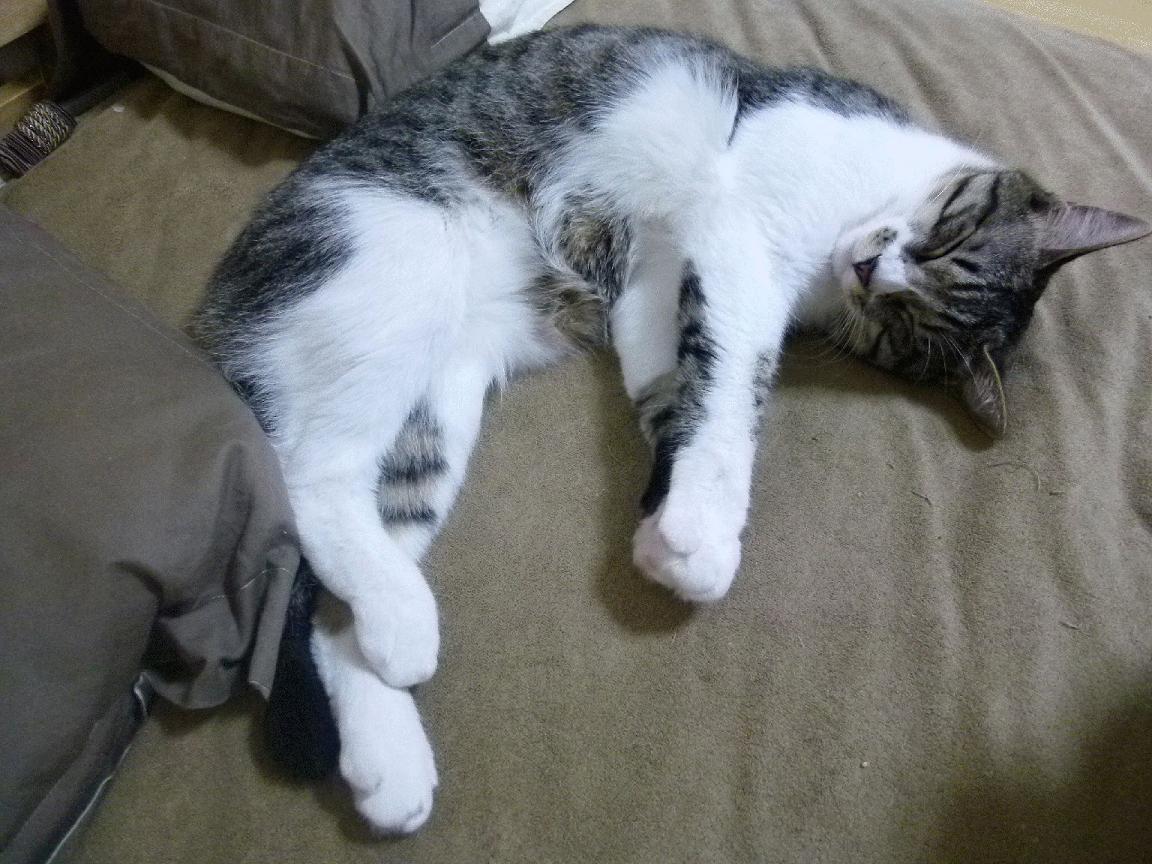 一剑封喉,福登的灵光一闪,定格墨西哥与西班牙的世纪对决