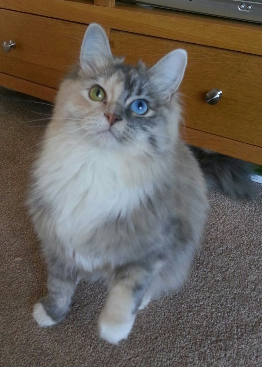 时空错位夜，当英超争冠夜直播马竞横扫巴拉圭