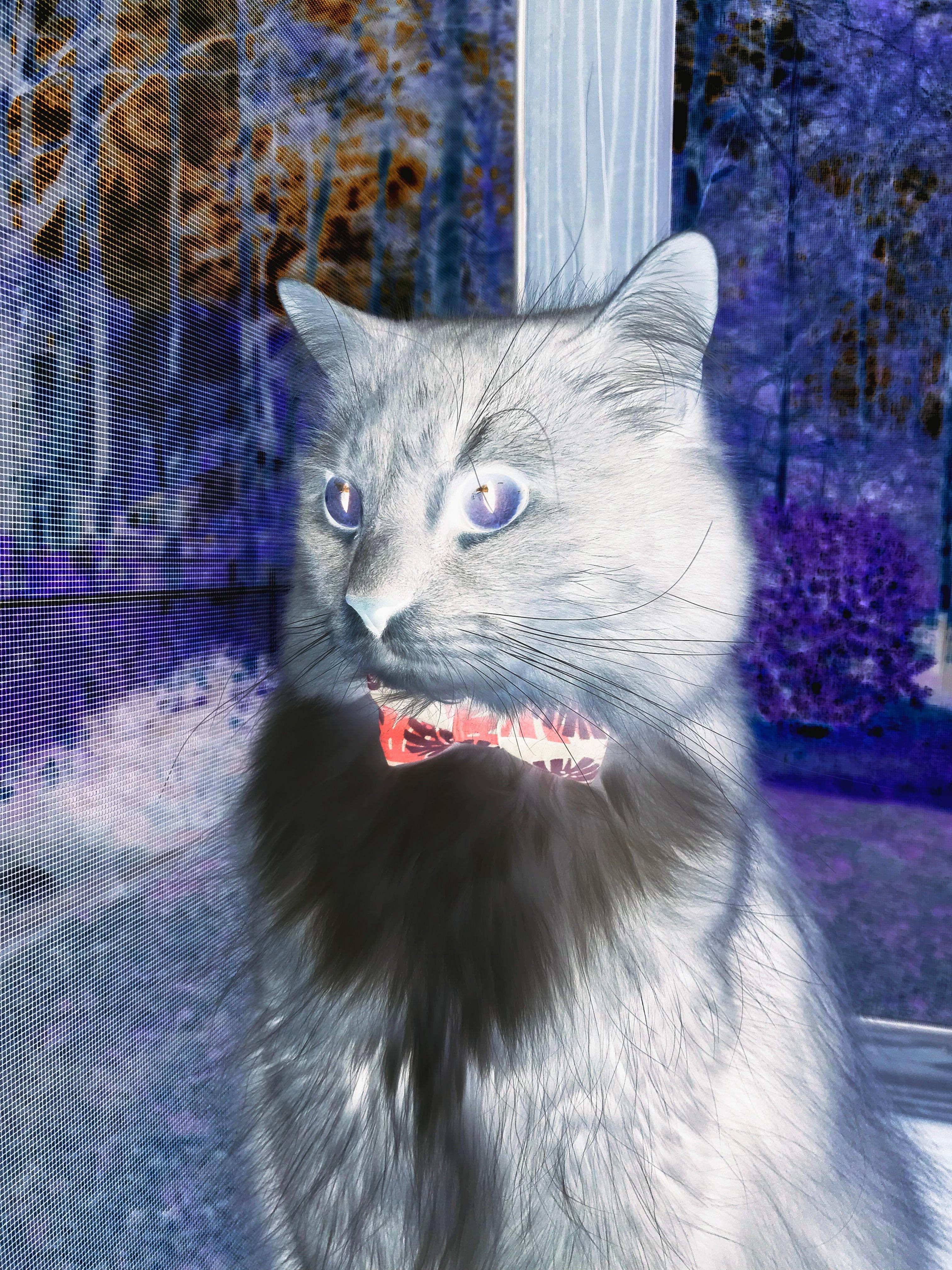 卡拉斯科爆发，乌克兰连续得分压制哥伦比亚