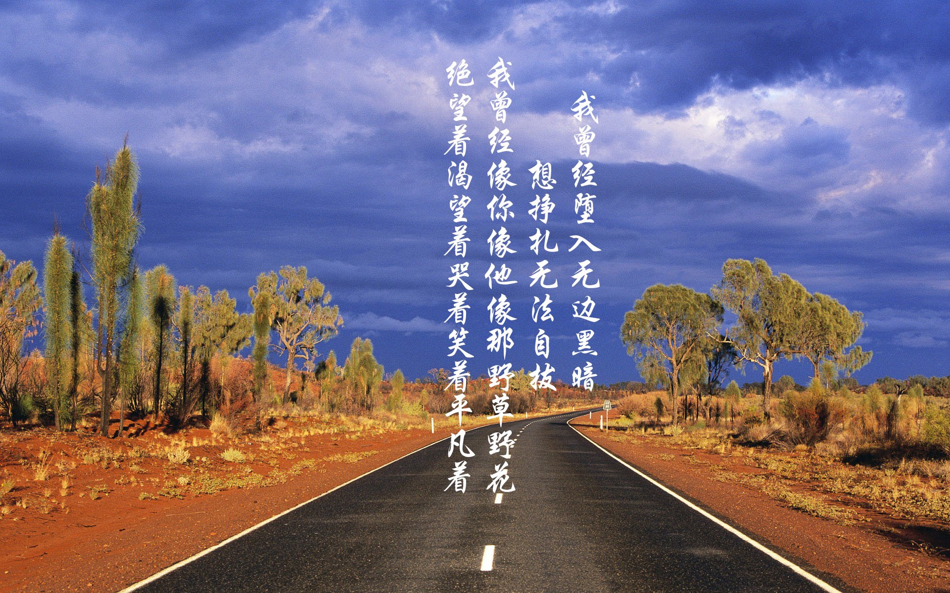 狂胜浙江队！国王队崛起背后，杰伦格林如何从争议新星蜕变为关键先生？