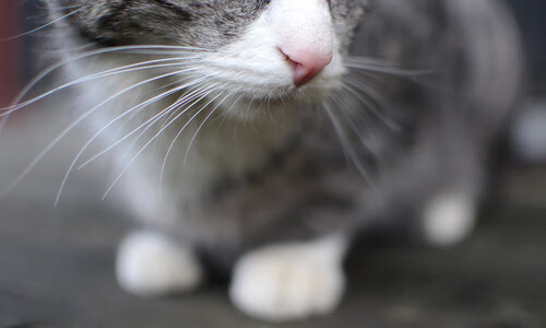 破茧成蝶，当个人封神夜照见团队生死战